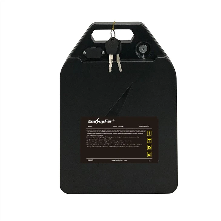 Lithium Battery for Citycoco Scooter